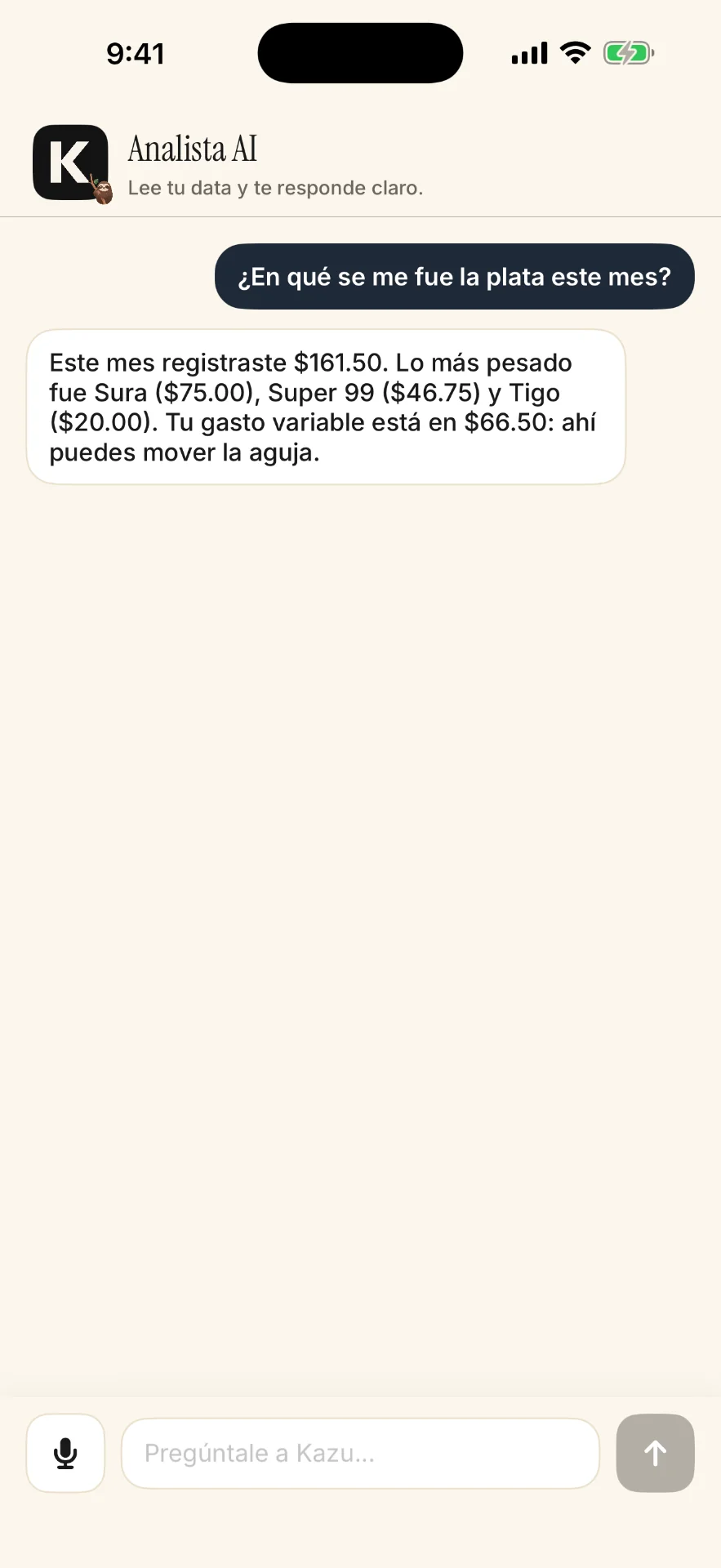 Kazu analista AI leyendo gastos